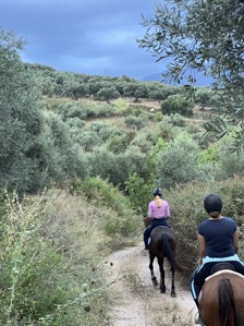 3-daagse paardrijtocht rond Psiloritis & de Witte Bergen Kreta - Griekenland - Afbeelding 10