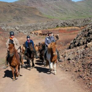 6-daagse paardrijtocht over het Snæfellsnes-schiereiland - IJsland - Afbeelding 5