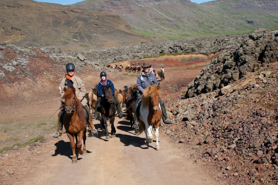 6-daagse paardrijtocht over het Snæfellsnes-schiereiland - IJsland - Afbeelding 5