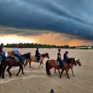 Buitenritten (evt. met overnachting) - Loonse en Drunense Duinen Noord-Brabant - Nederland - Afbeelding 21