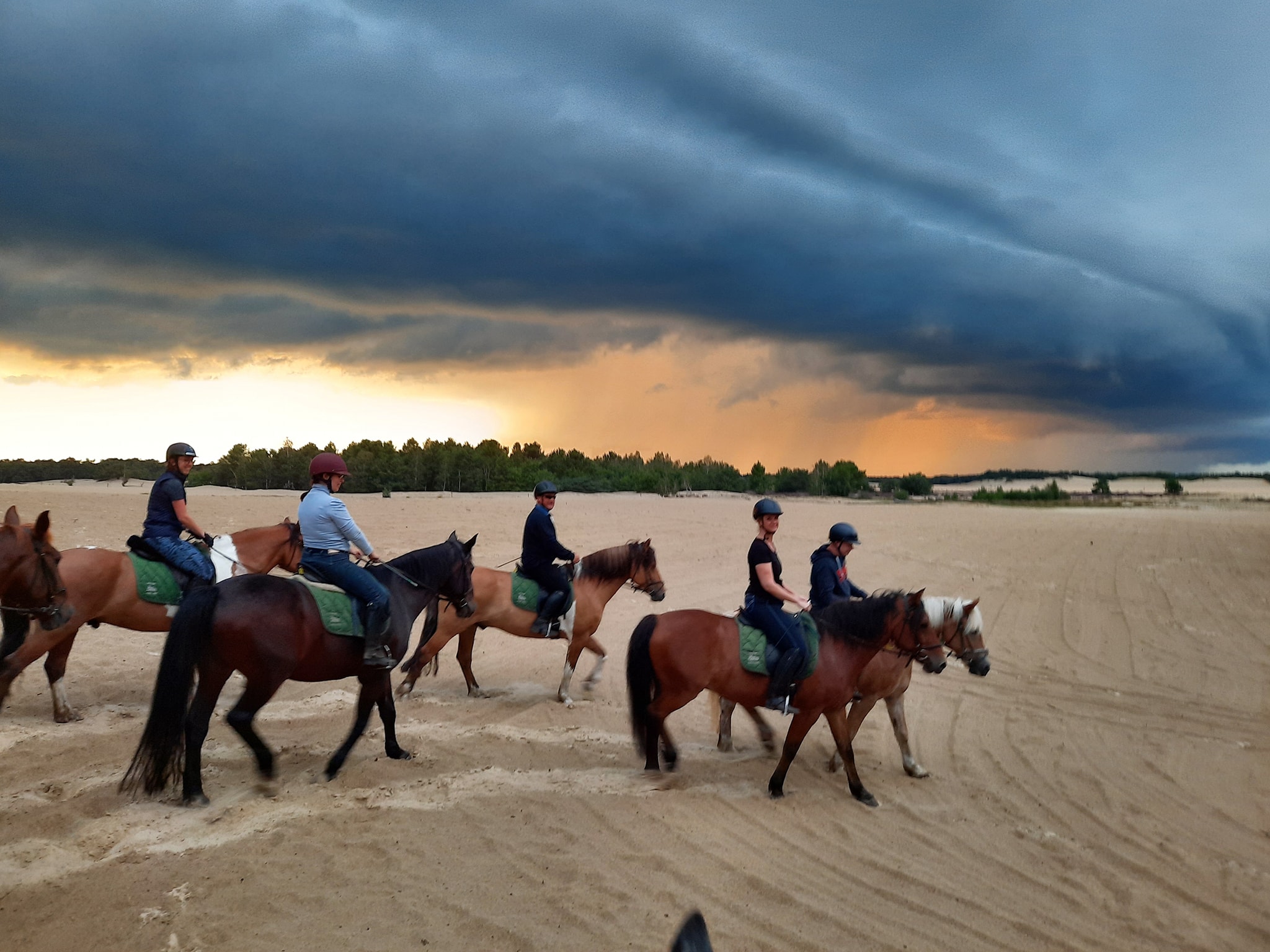 Buitenritten (evt. met overnachting) - Loonse en Drunense Duinen Noord-Brabant - Nederland