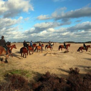 Buitenritten (evt. met overnachting) - Loonse en Drunense Duinen Noord-Brabant - Nederland - Afbeelding 20