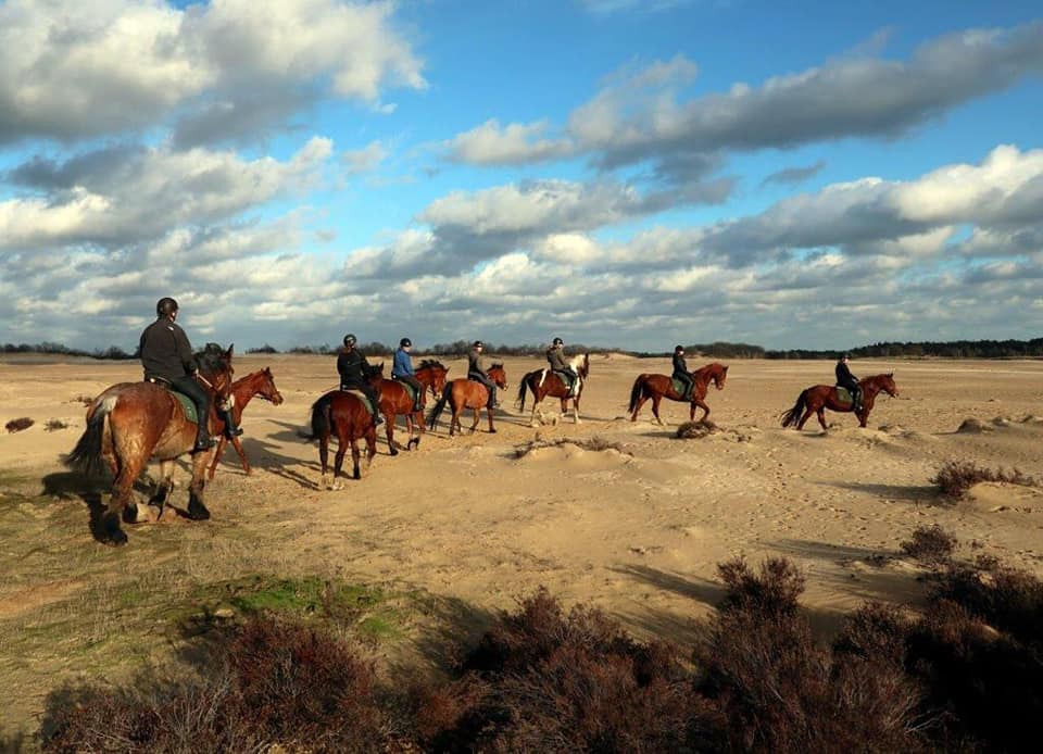 Buitenritten (evt. met overnachting) - Loonse en Drunense Duinen Noord-Brabant - Nederland