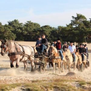 Hittax (evt. met overnachting) - Loonse en Drunense Duinen Noord-Brabant - Nederland