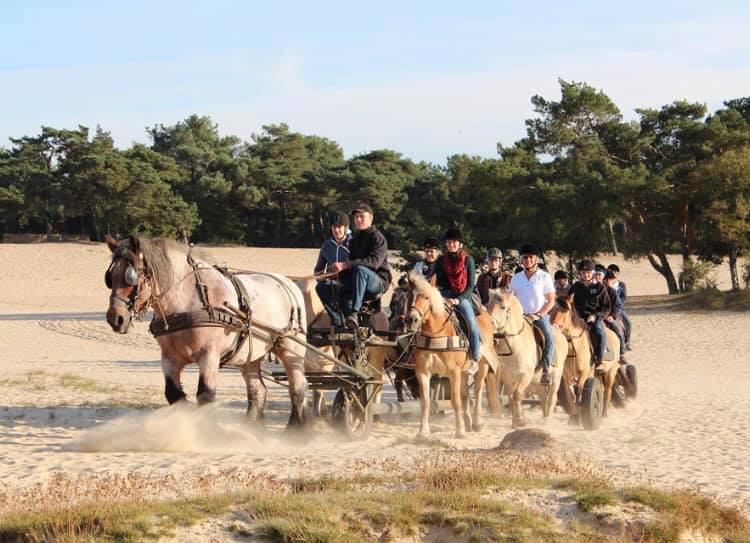 Hittax (evt. met overnachting) - Loonse en Drunense Duinen Noord-Brabant - Nederland