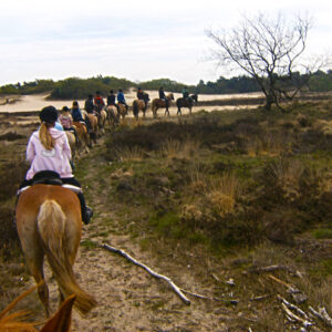 Ponykamp voor ruiters van 10 t/m 17 jaar - Loonse en Drunense Duinen Noord-Brabant - Nederland - Afbeelding 10