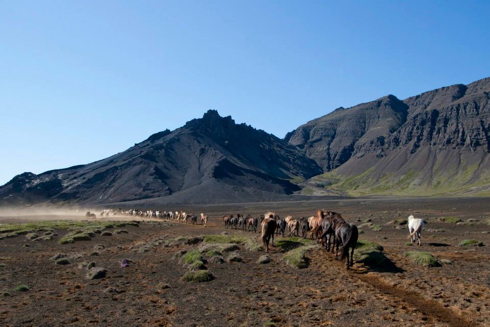 6-daagse paardrijtocht over het Snæfellsnes-schiereiland - IJsland