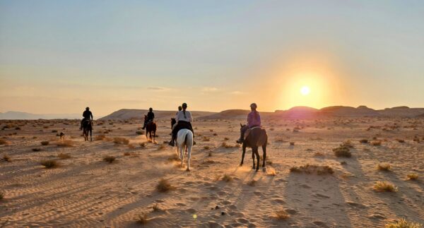10-daagse paardrijtocht door Wadi Rum - Jordanië