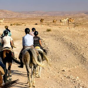 10-daagse paardrijtocht van Petra naar Wadi Rum - Jordanië - Afbeelding 34