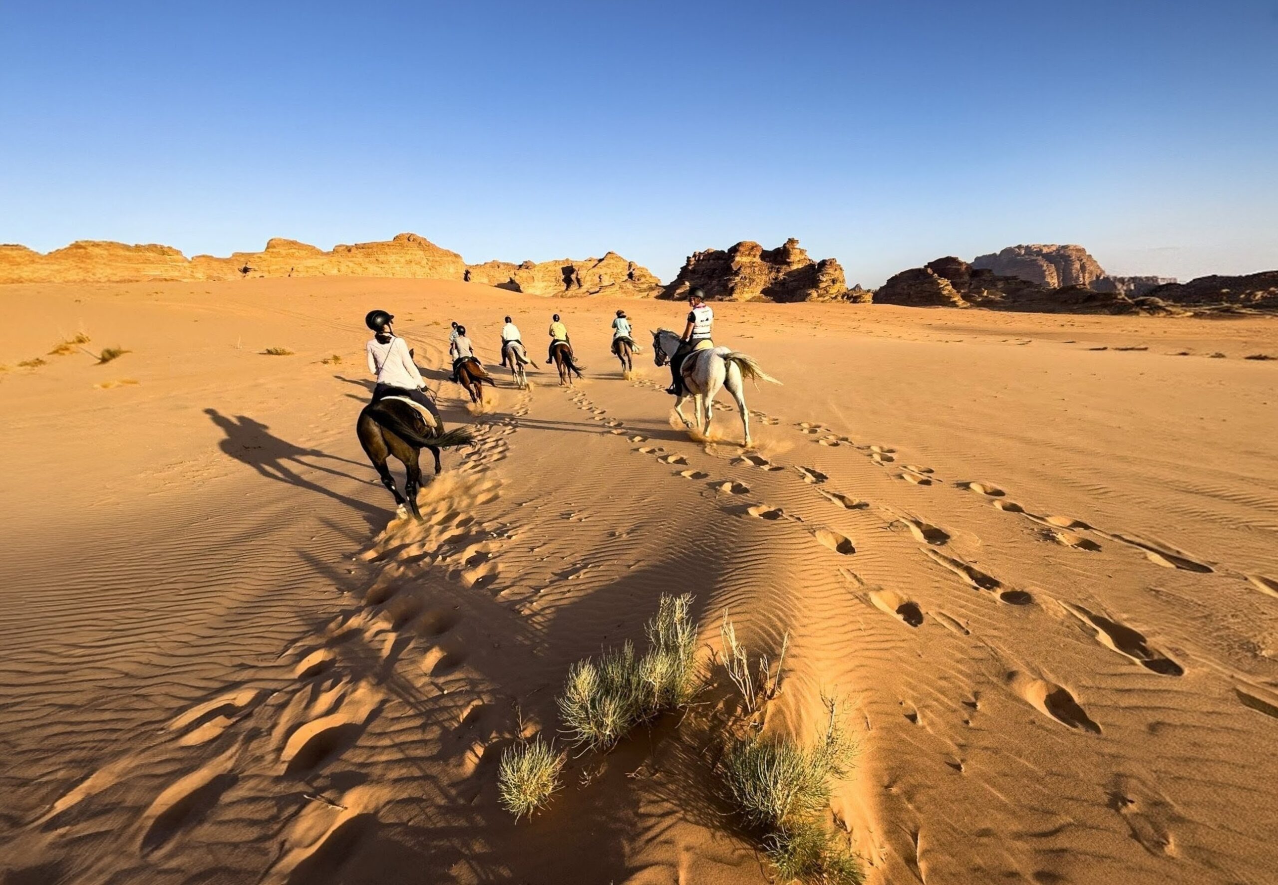 10-daagse paardrijtocht door Wadi Rum - Jordanië - Afbeelding 31