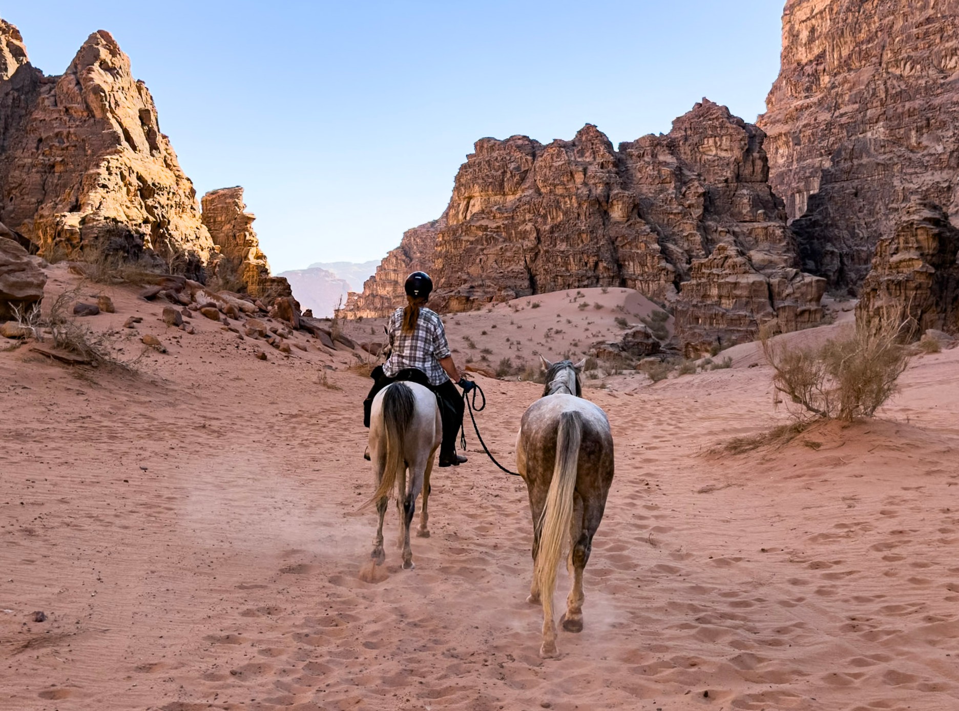 10-daagse paardrijtocht van Petra naar Wadi Rum - Jordanië - Afbeelding 30