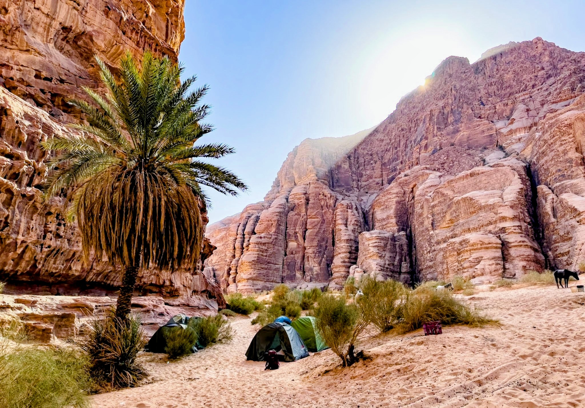 10-daagse paardrijtocht van Petra naar Wadi Rum - Jordanië