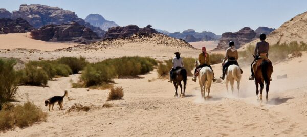 10-daagse paardrijtocht door Wadi Rum - Jordanië