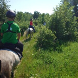 7-daagse paardrijtocht KarabalKan - Bulgarije - Afbeelding 19