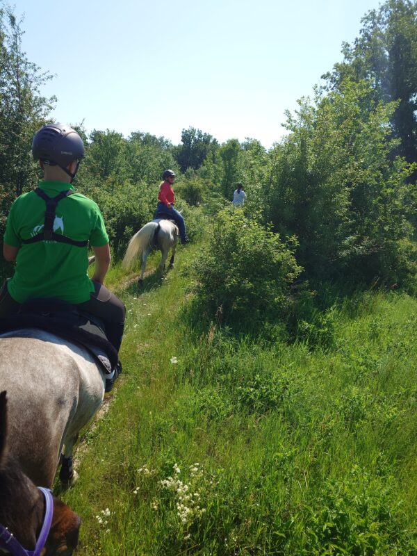 7-daagse paardrijtocht KarabalKan - Bulgarije