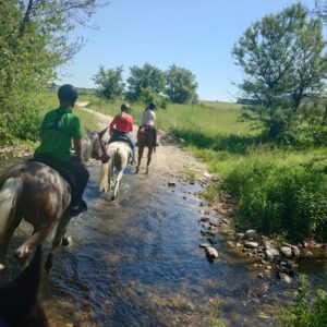 8-daagse paardrijtocht Thracië-tour - Bulgarije - Afbeelding 23