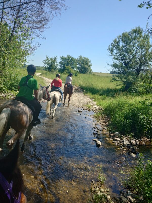 8-daagse paardrijtocht Thracië-tour - Bulgarije