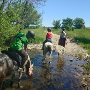 6-daagse paardrijtocht naar de top van het Rhodopegebergte - Bulgarije - Afbeelding 24