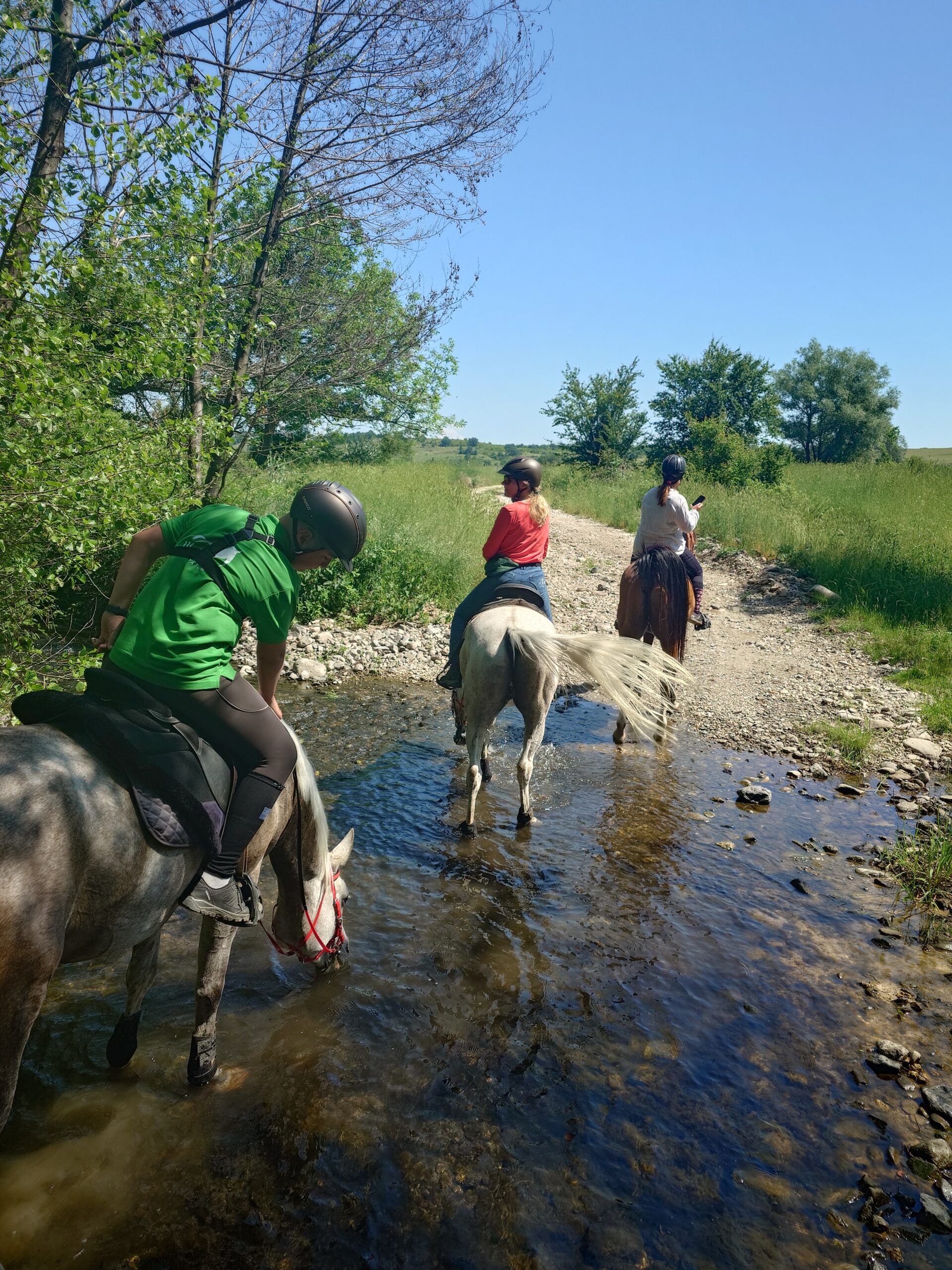 6-daagse paardrijtocht naar de top van het Rhodopegebergte - Bulgarije - Afbeelding 24