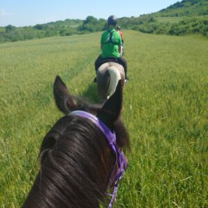 7-daagse paardrijtocht KarabalKan - Bulgarije - Afbeelding 18