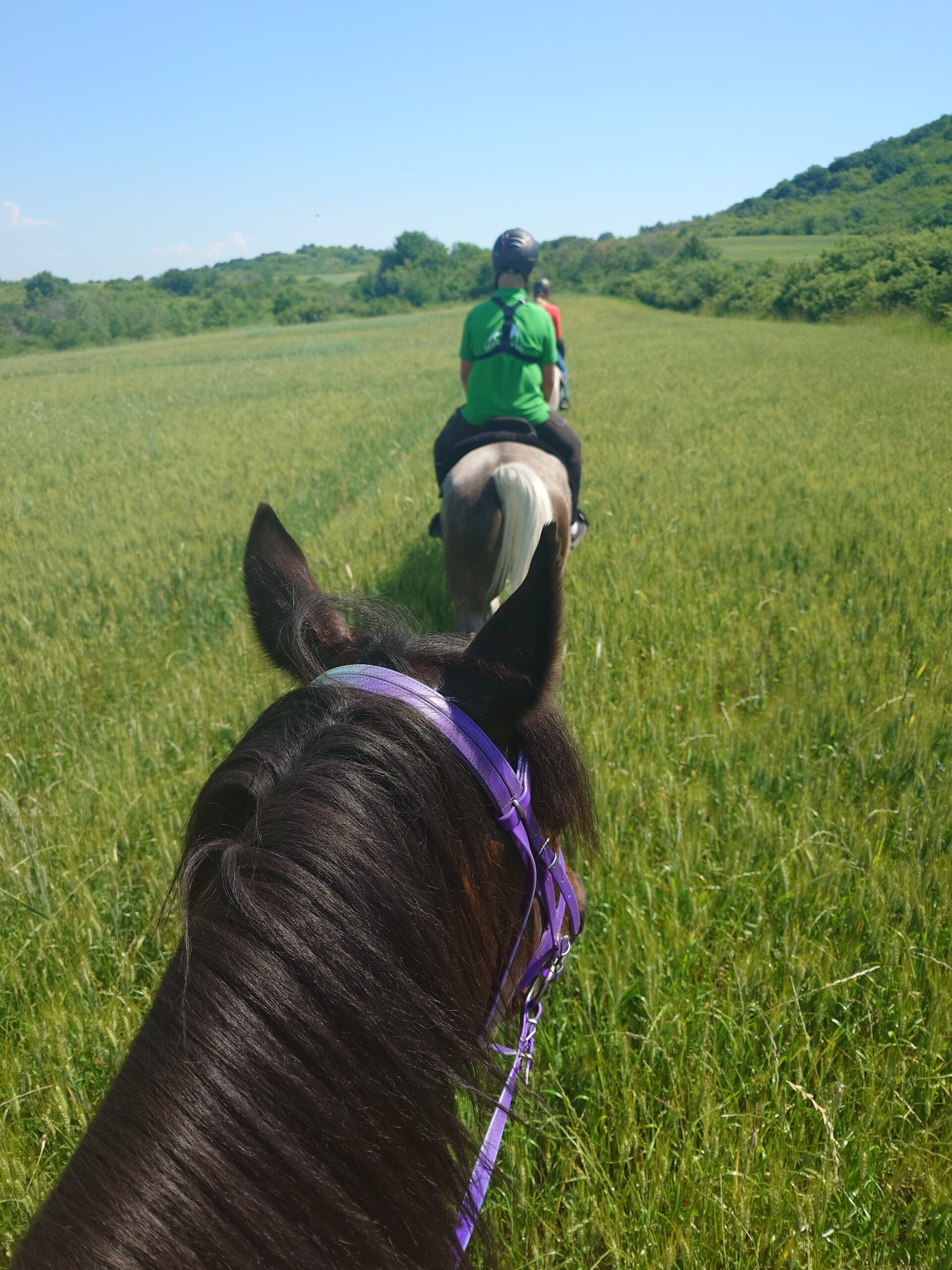 7-daagse paardrijtocht KarabalKan - Bulgarije - Afbeelding 18