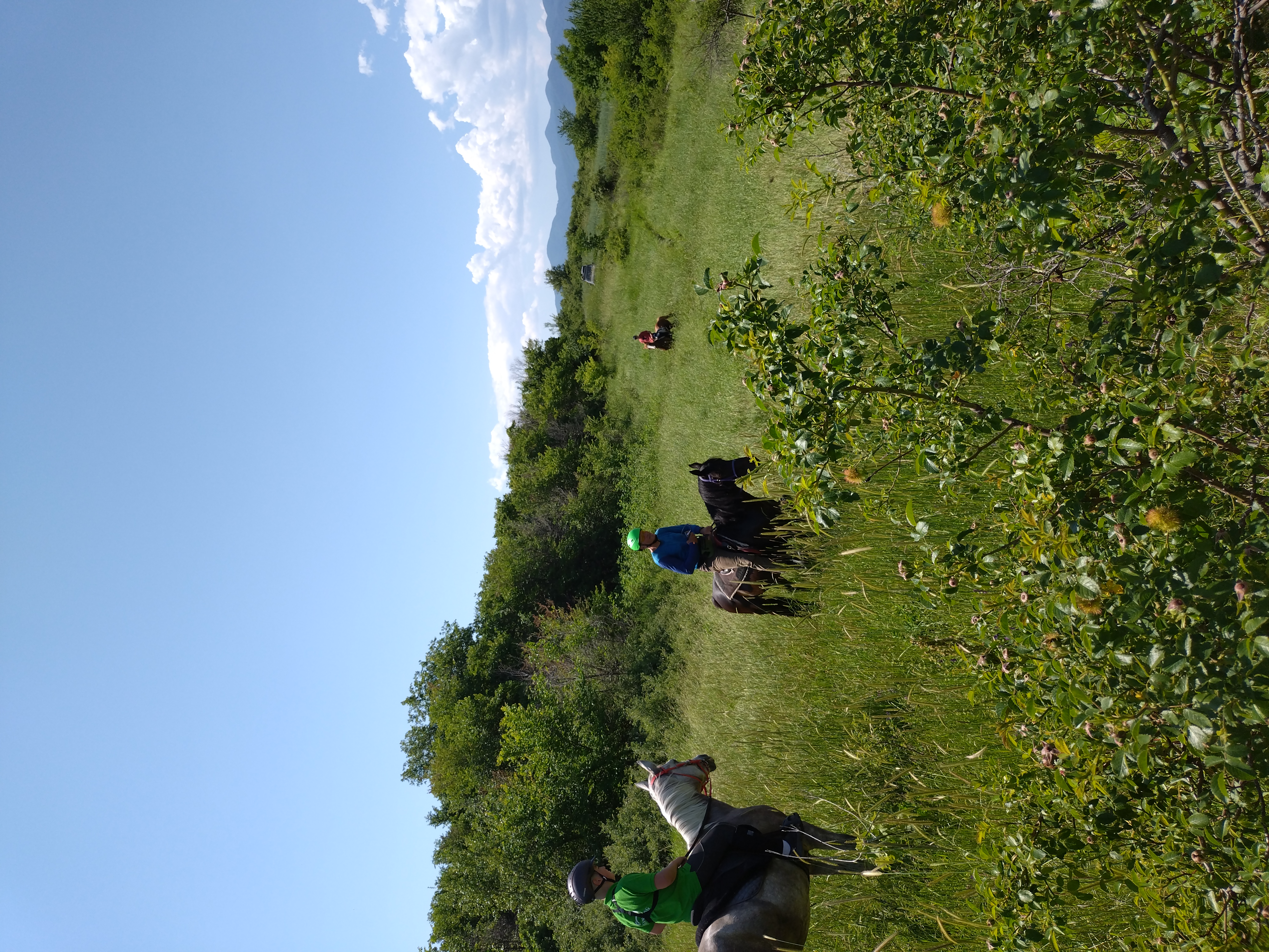 6-daagse paardrijtocht naar de top van het Rhodopegebergte - Bulgarije - Afbeelding 23