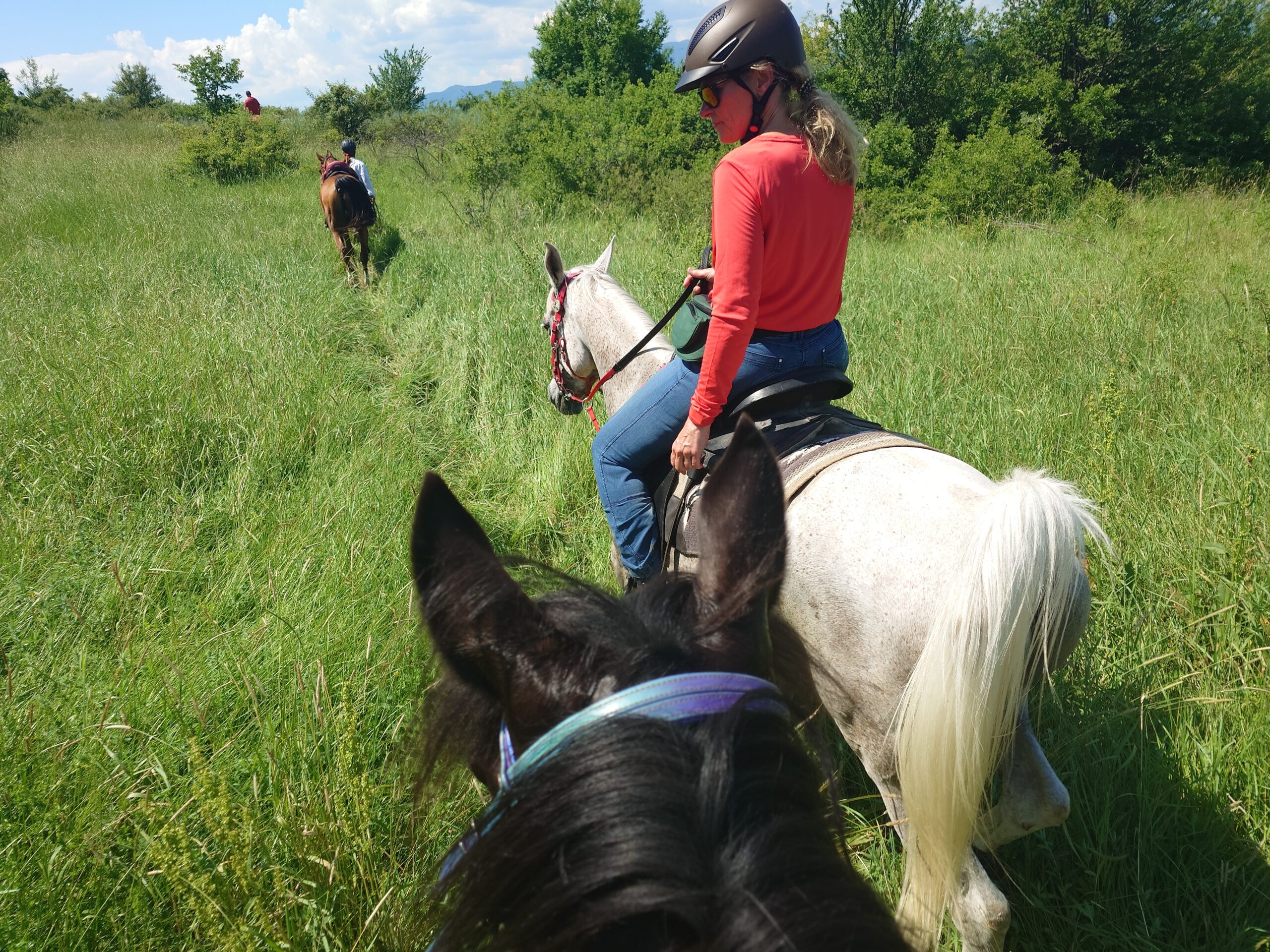 8-daagse paardrijtocht Thracië-tour - Bulgarije - Afbeelding 21