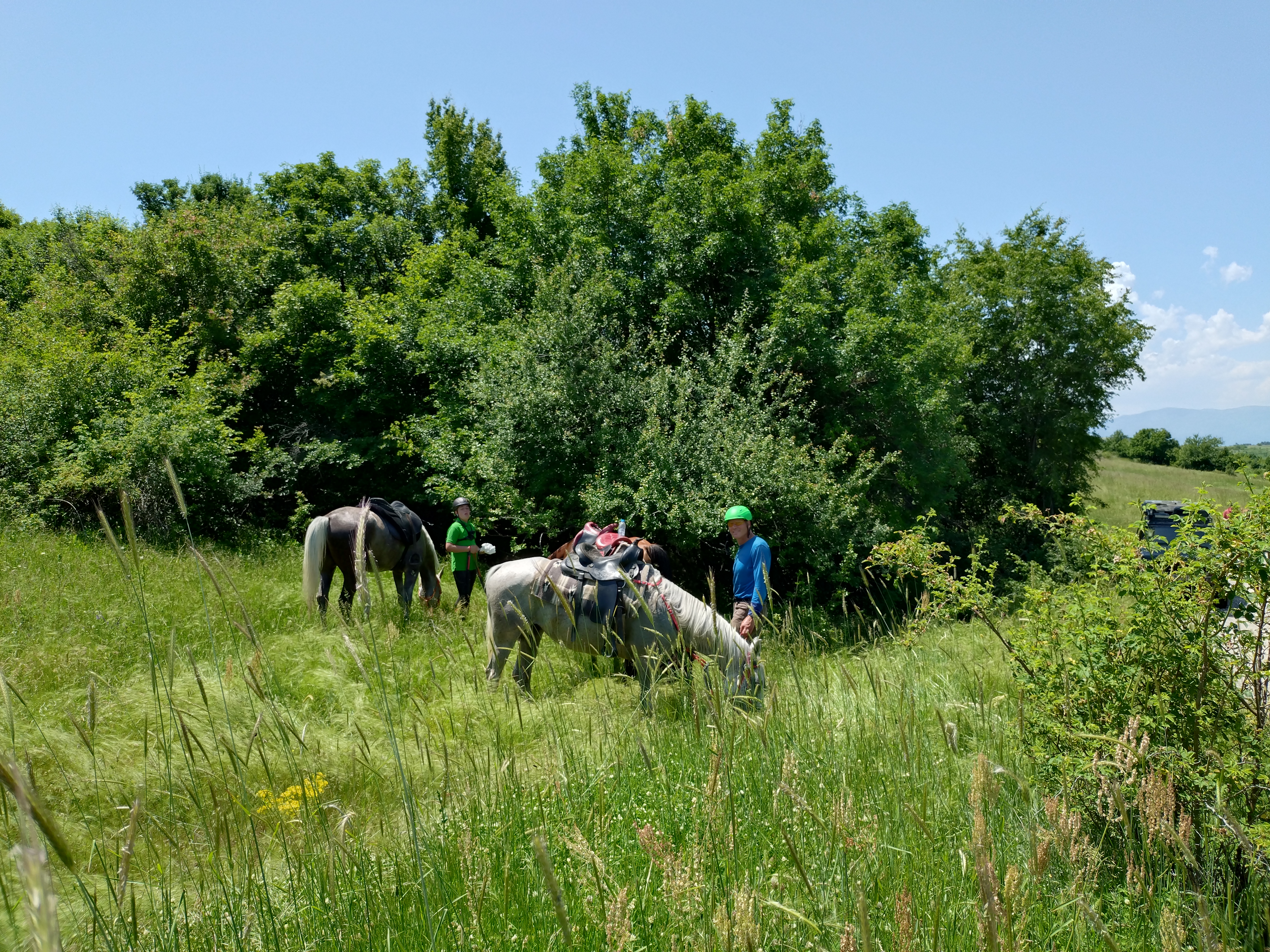 6-daagse paardrijtocht naar de top van het Rhodopegebergte - Bulgarije - Afbeelding 22