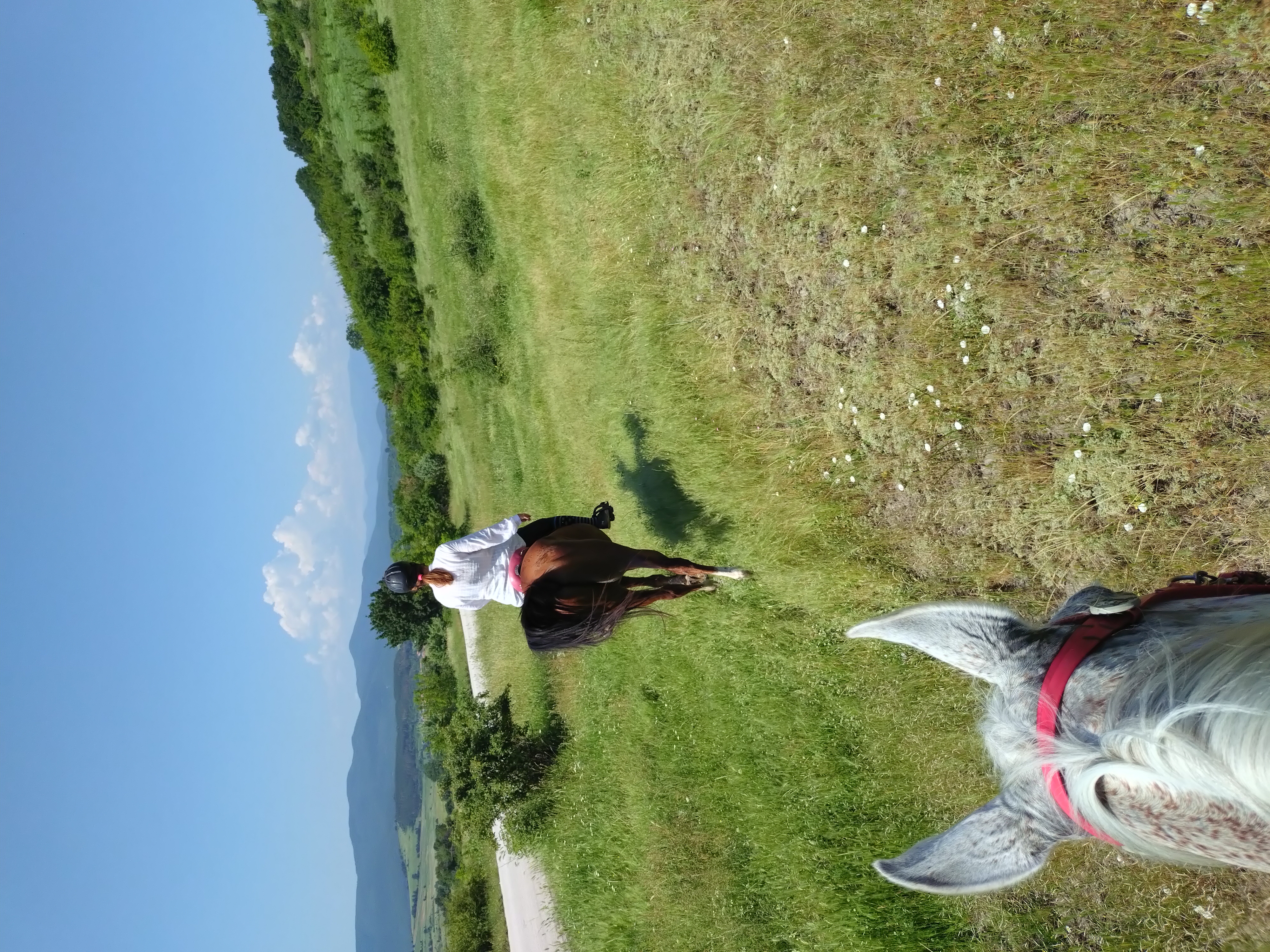 6-daagse paardrijtocht naar de top van het Rhodopegebergte - Bulgarije - Afbeelding 21