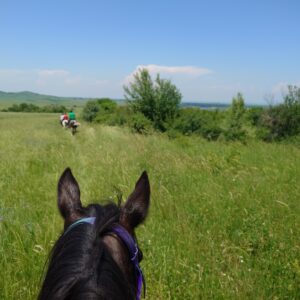 8-daagse paardrijtocht Thracië-tour - Bulgarije - Afbeelding 19