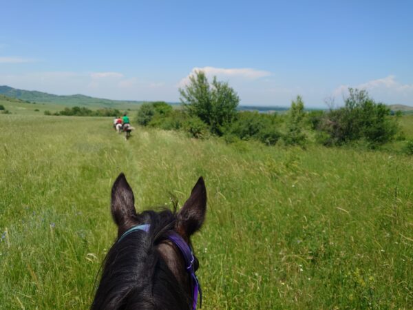 8-daagse paardrijtocht Thracië-tour - Bulgarije