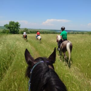 6-daagse paardrijtocht naar de top van het Rhodopegebergte - Bulgarije - Afbeelding 20
