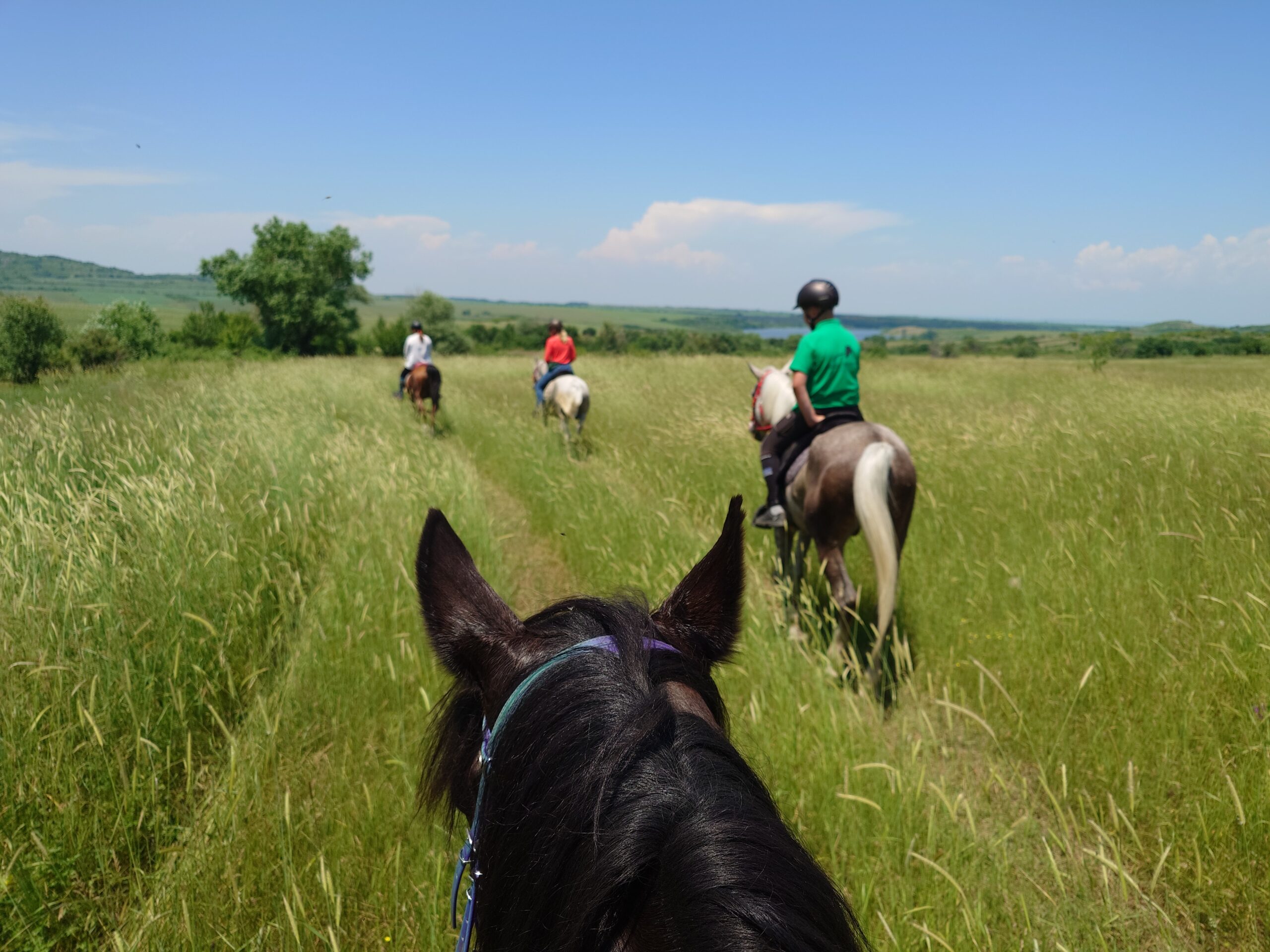 Thracië-tour – Echo’s van de Thraciërs