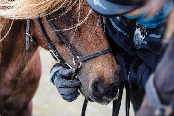 Buitenritten in de omgeving van Reykjavík - IJsland
