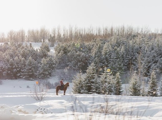 Buitenritten in de omgeving van Reykjavík - IJsland