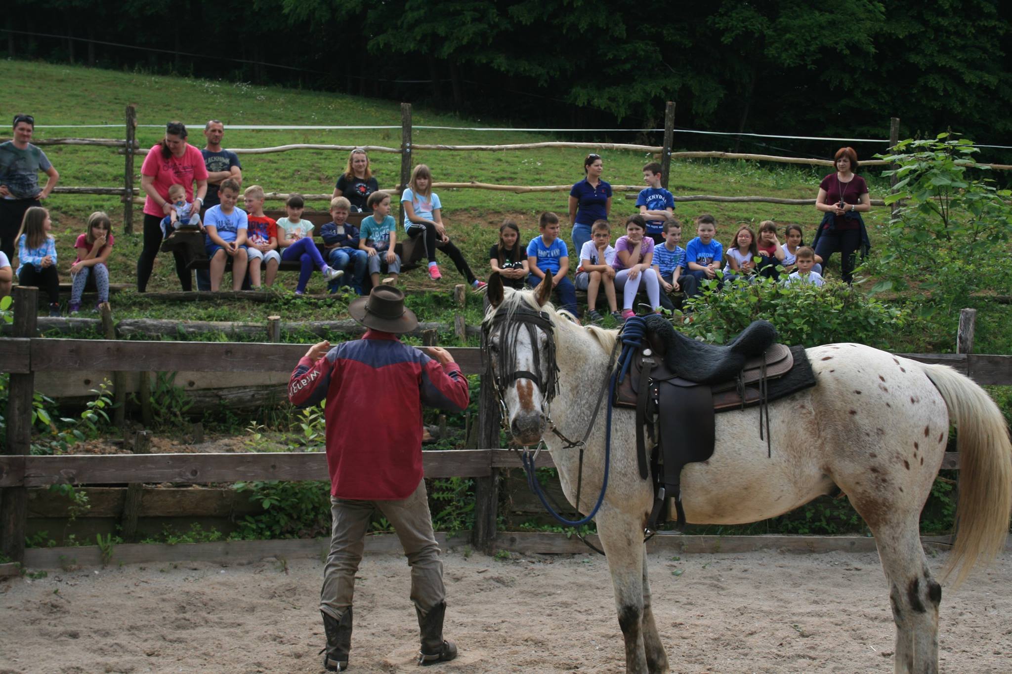 Ranchvakantie in Duga Resa – Kroatië - Afbeelding 3