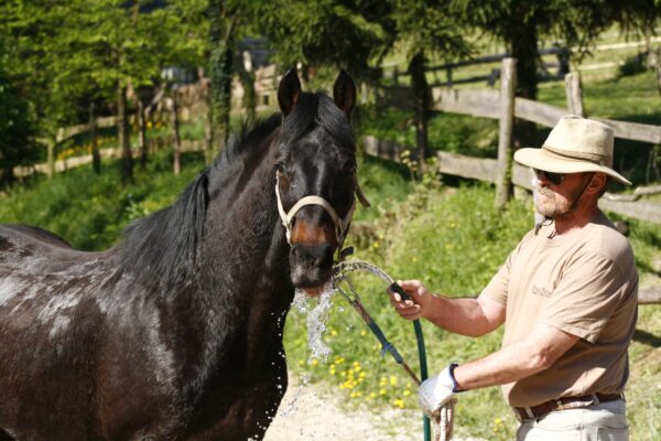 Ranchvakantie in Duga Resa – Kroatië