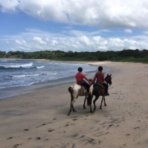 8-daagse Paardrijdtocht bergen, vulkanen, regenwoud - Costa Rica - Afbeelding 19