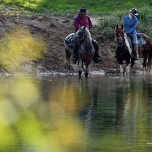 Ranchvakantie in Duga Resa – Kroatië - Afbeelding 14