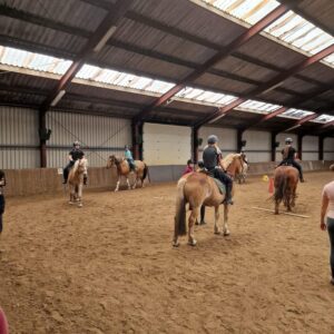 Paardrijlessen privé/groep (evt. met overnachting, evt. met eigen paard) - Loonse en Drunense Duinen Noord-Brabant - Nederland - Afbeelding 9