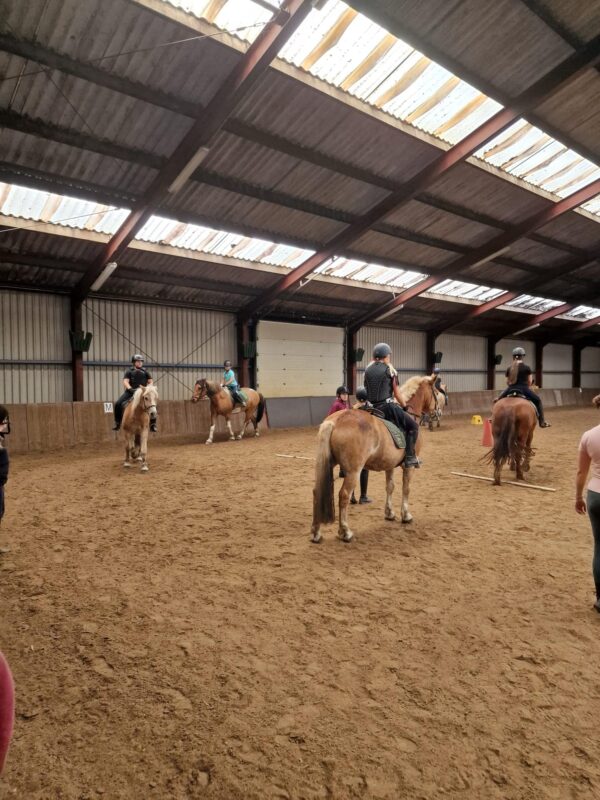 Paardrijlessen privé/groep (evt. met overnachting, evt. met eigen paard) - Loonse en Drunense Duinen Noord-Brabant - Nederland