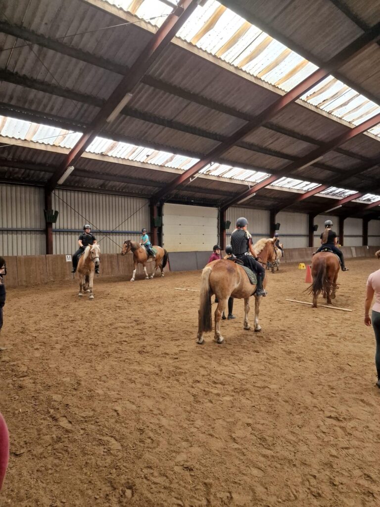 Paardrijlessen privé/groep (evt. met overnachting, evt. met eigen paard) - Loonse en Drunense Duinen Noord-Brabant - Nederland