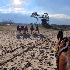 Ruiterweekend ouder en kind - Loonse en Drunense Duinen Noord-Brabant - Nederland - Afbeelding 8