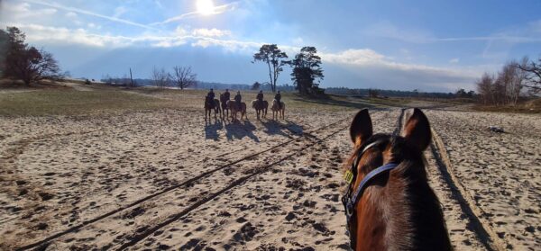 Ruiterweekend ouder en kind - Loonse en Drunense Duinen Noord-Brabant - Nederland