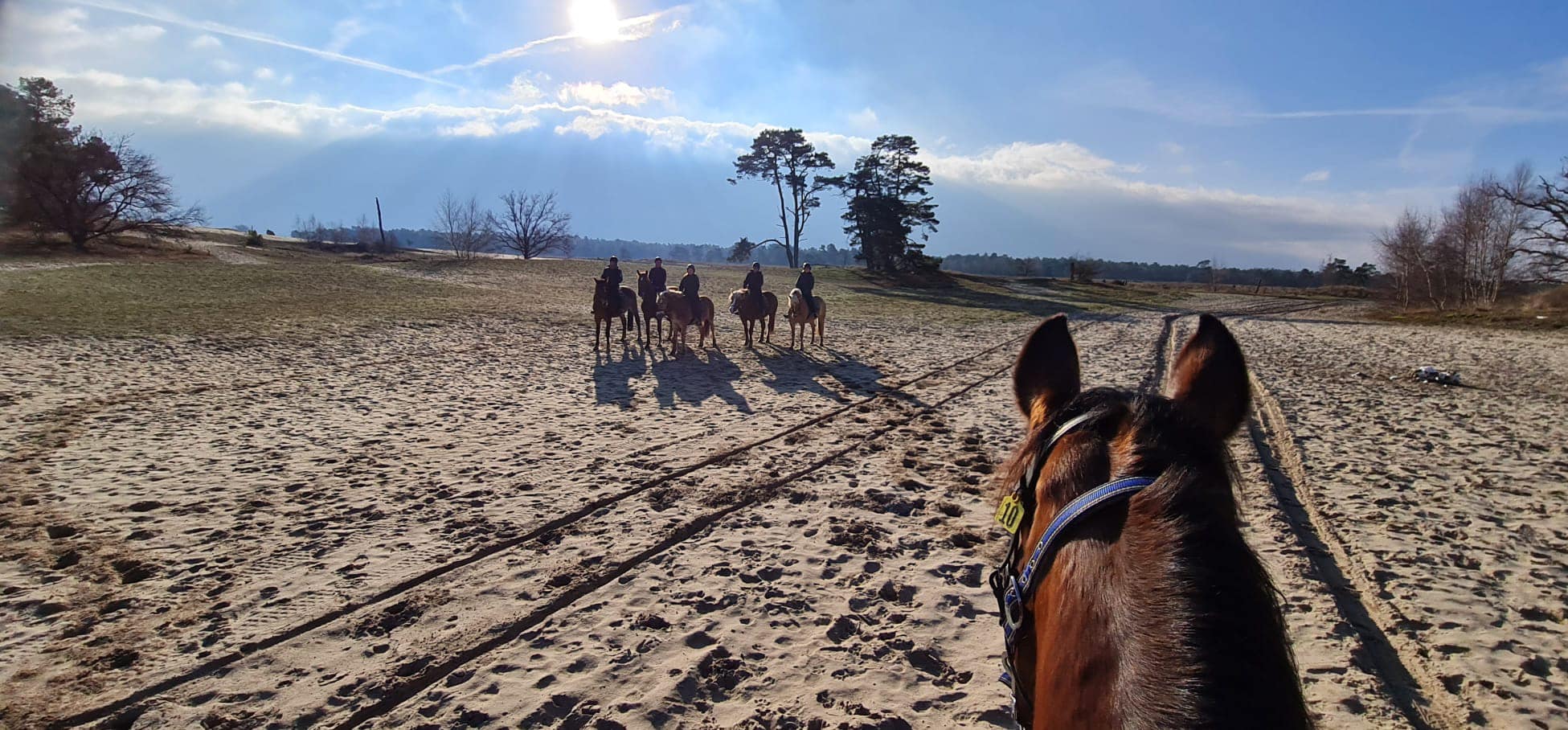 Ruiterweekend ouder en kind - Loonse en Drunense Duinen Noord-Brabant - Nederland - Afbeelding 8