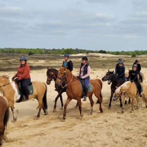 Ponykamp voor ruiters van 10 t/m 17 jaar - Loonse en Drunense Duinen Noord-Brabant - Nederland - Afbeelding 8