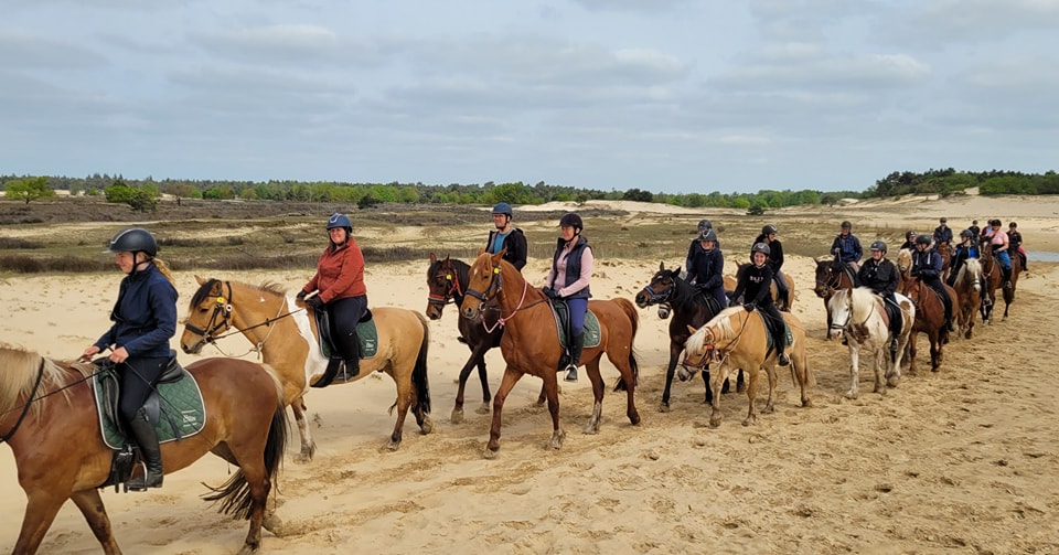 Ponykamp voor ruiters van 10 t/m 17 jaar - Loonse en Drunense Duinen Noord-Brabant - Nederland - Afbeelding 8