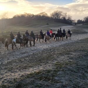 Buitenritten (evt. met overnachting) - Loonse en Drunense Duinen Noord-Brabant - Nederland - Afbeelding 10