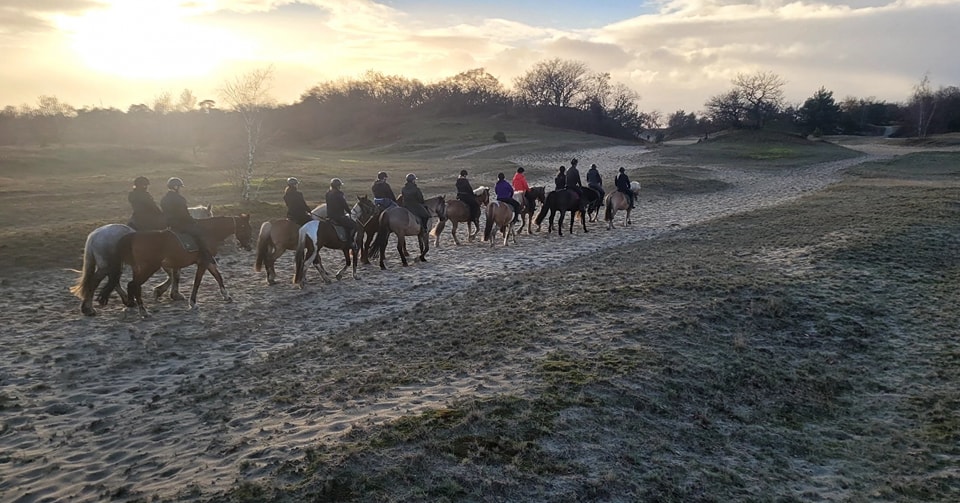 Buitenritten (evt. met overnachting) - Loonse en Drunense Duinen Noord-Brabant - Nederland