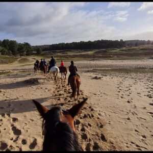 Buitenritten (evt. met overnachting) - Loonse en Drunense Duinen Noord-Brabant - Nederland - Afbeelding 9